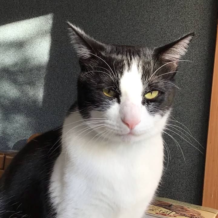 F32cbb04 5c59 4cf0 85f0 7192b6e912c7 1735859681125