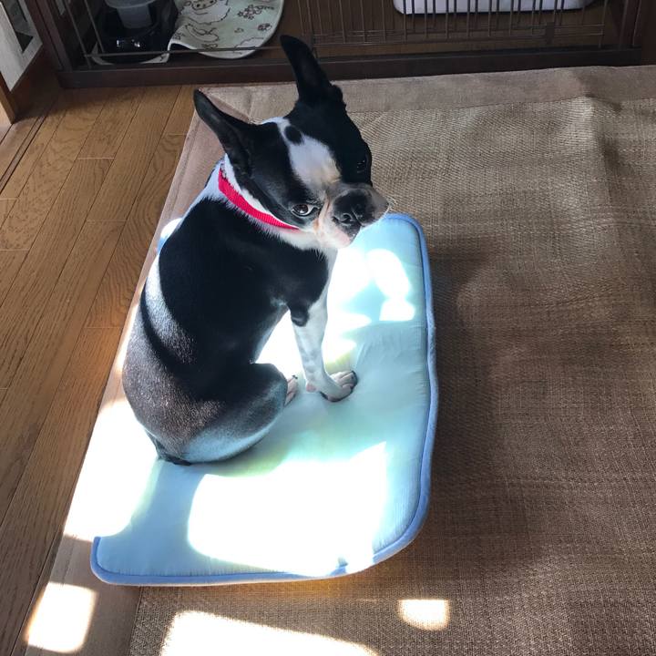 F32d01df ba08 4055 a803 b69e00855fbb 1512966414764