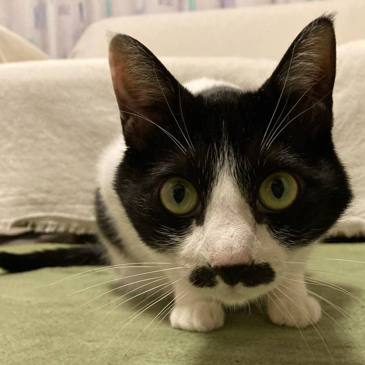 F32d0204 4be2 4ed1 851b 51c0c787e47b 1771243807262