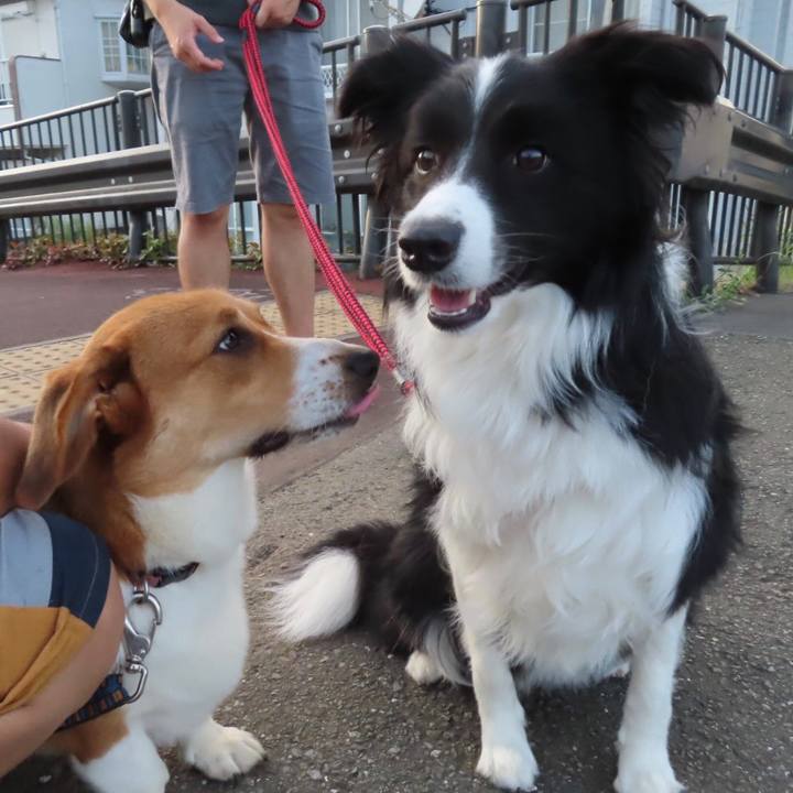 F32d08ee 1a06 476b bfcf 861d1b4fa8b4 1629853758008