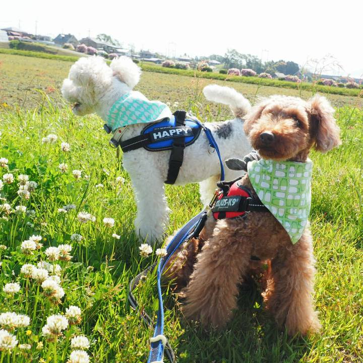 F32d0e17 a437 4d33 b19d 6cc6c9c10570 1525487670995