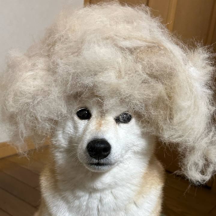 F32d2659 9668 4d97 96a1 7ceae0f47993 1680913590352