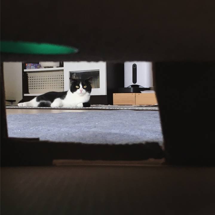 F32d2b33 993f 4d9d a911 eca03a6577b1 1595320217296