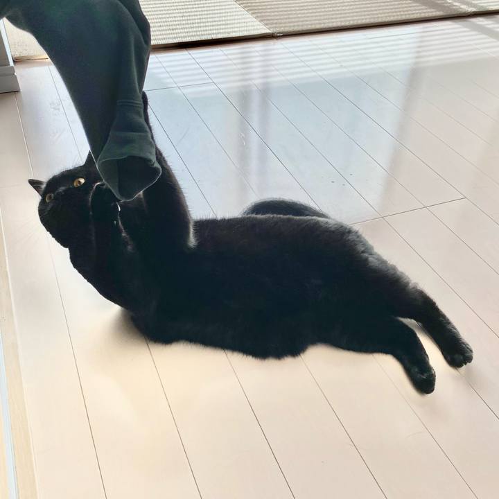 F32d6030 feb7 407d bcbd 3fc3fc1c194b 1712998056874