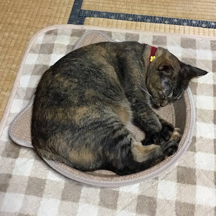 F32d6279 f771 478d 86c8 37db727cdf46 1729843873896