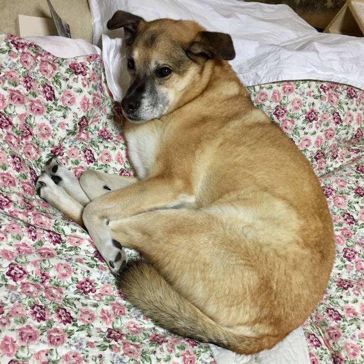 F32d6a13 fb7d 47c4 b43a d8c731275eec 1543584460059