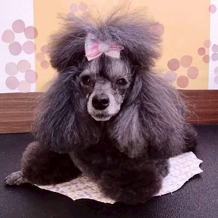 F32d75da 2f88 4512 853b 18875bd2e798 1770210884241