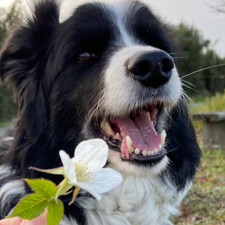 F32d84f4 f7cf 4d58 90b9 c80e405508f2 1616114577808