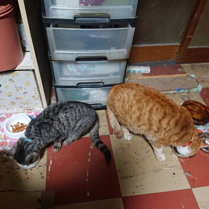 F32dd68d d8ae 4096 9118 8ee55cb1c21d 1577220686587