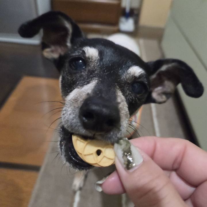 F32dfe6d 5f16 4287 ad2d 99145e9143dc 1756323551054