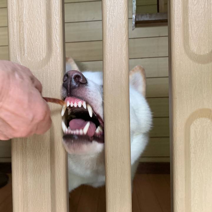 F32e0f4f b1df 43db 9c1c b1078dba4b84 1568612757262