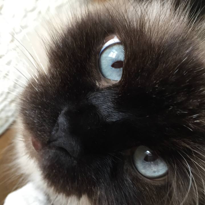 F32e26ca d296 4105 bd16 d439ac76ae00 1510953625593