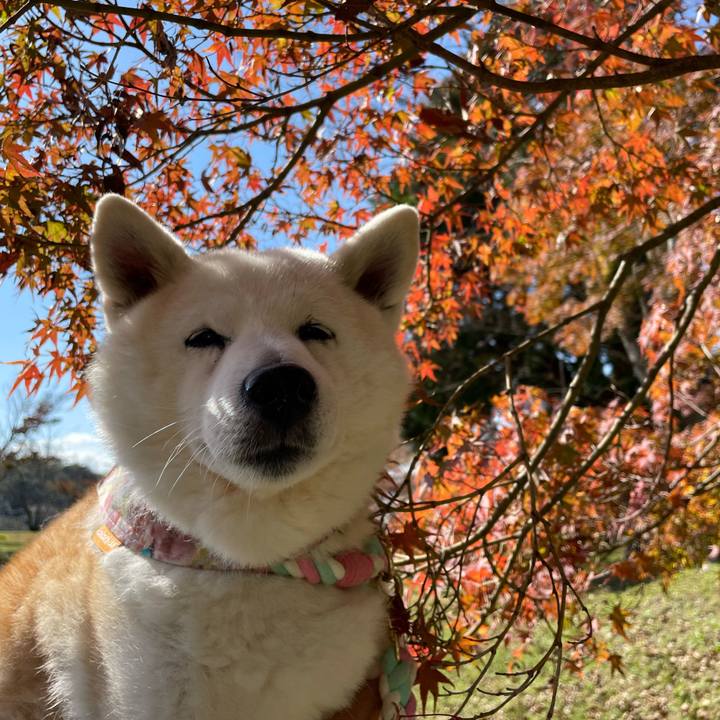 F32e53db c0a9 4dff 8223 cad148b8aa04 1700390863888