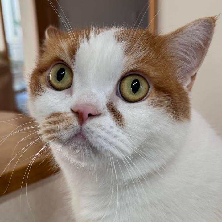 F32e59db 5f38 441f 8a6d 091a44fb7817 1764126352992