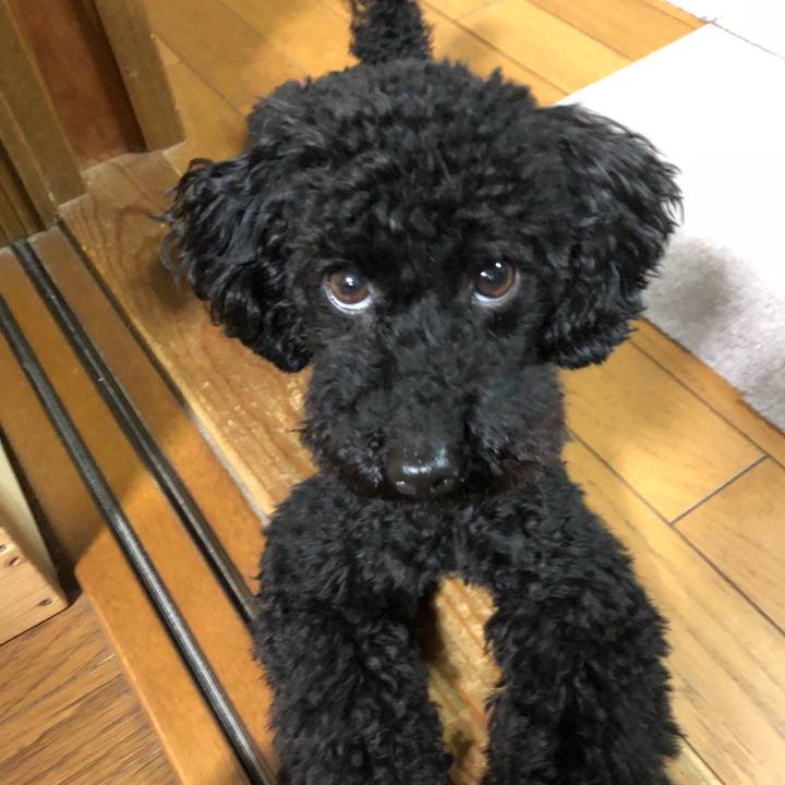 F32e7f04 4635 49ca b20f 9436c85eb9be 1526299643052