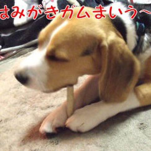 F32e9ac3 6a78 48fb 9363 c9a4da428b34 1686348620984