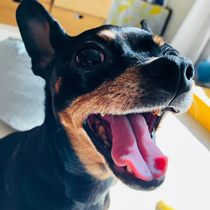 F32ec10d 5a4b 4190 9687 0d83d929d538 1742562576800