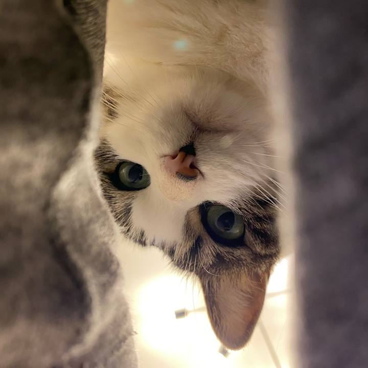 F32eeeb6 0e96 4e65 bd8d 57dc2f103d5c 1652442139078