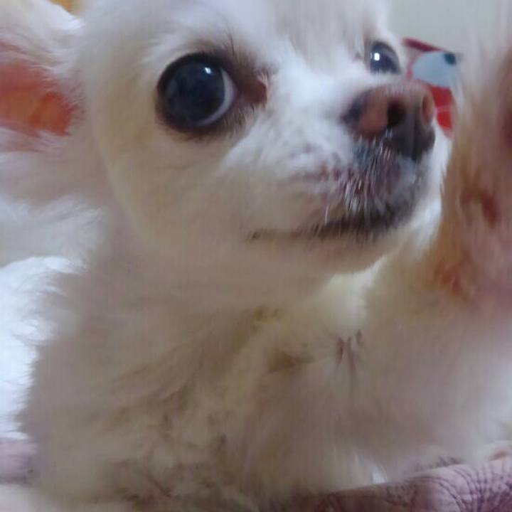 F32f20fa 7ce9 42e9 a23f 7380a3f4c48d 1568411917595