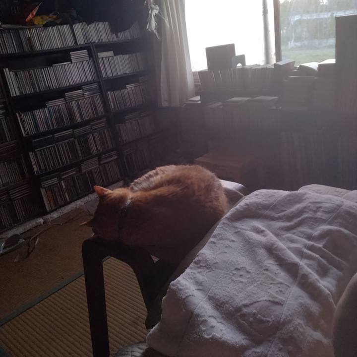 F32f6bbd 0265 41df 87ac daa23887ef56 1751492462033