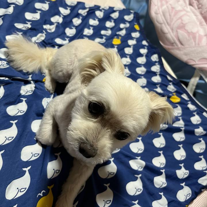 F32f6cef cfd9 4a45 9e31 925c21e496b4 1658057285725