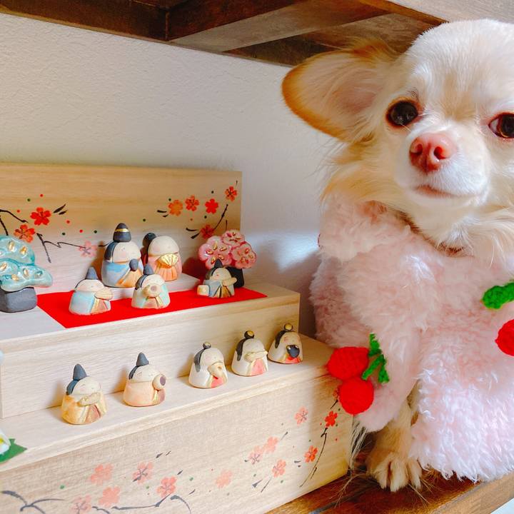 F32f855a 21c9 4a82 bbcf 673ca9148620 1646288673612