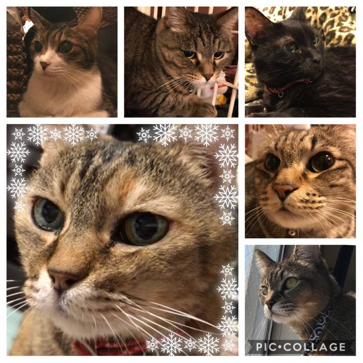 F32f9f94 e50b 424e 8a0a 0958c52ed42a 1555822887370