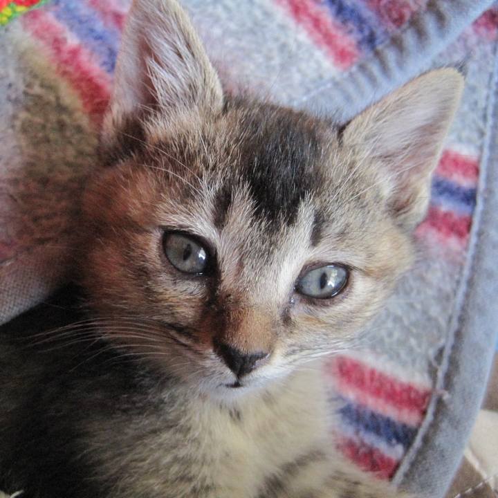 F32fca08 fa32 4ad9 92bd ff205b70a6e7 1651440560170