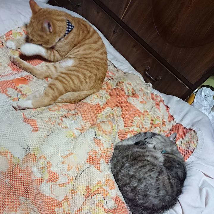 F3300fbb 7cbe 4c84 be6f 5153c4750bc0 1570107969710