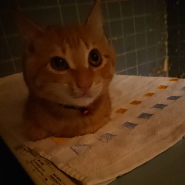 F330161a 315d 45f4 b568 e8eeda1be71d 1633168954551