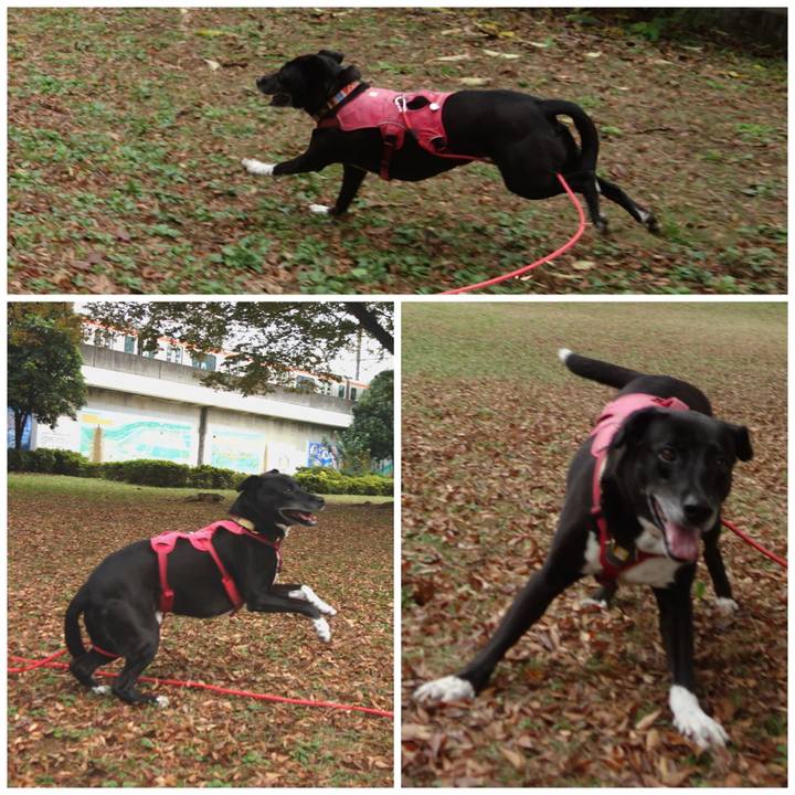 F3302df1 2156 42ed 8bff c9e587237af8 1699578762518