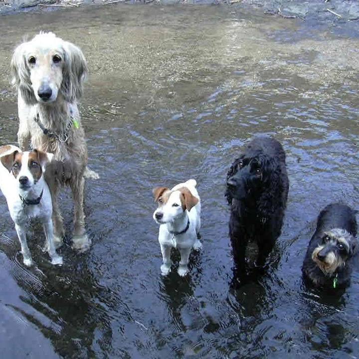 F3306224 93d0 47a0 a6f9 12fae012d0b8 1540415721871