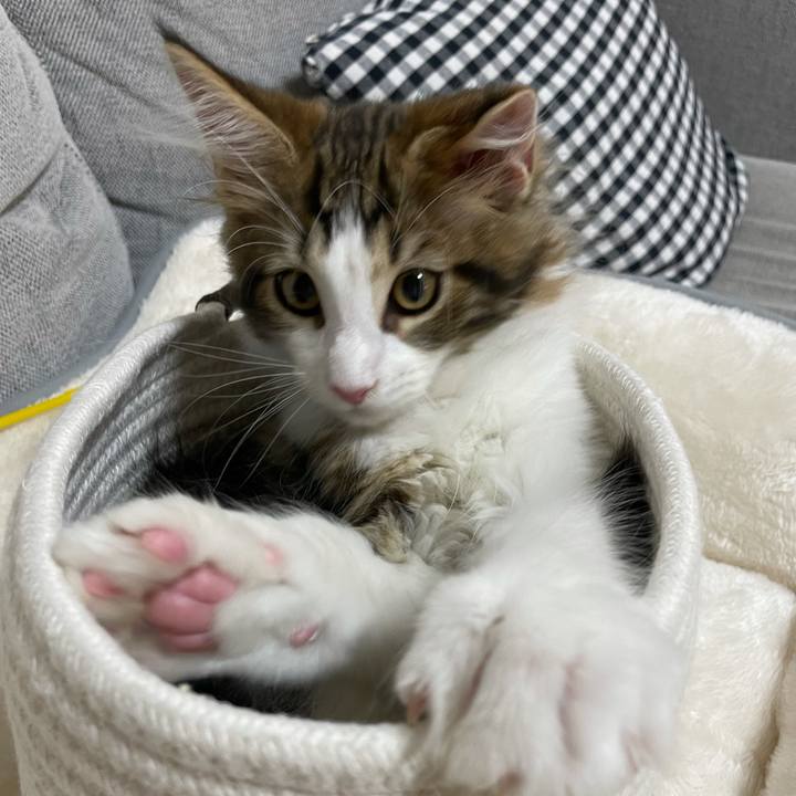 F3307bd9 6874 4a14 b17f 6c292434adc7 1632907155946