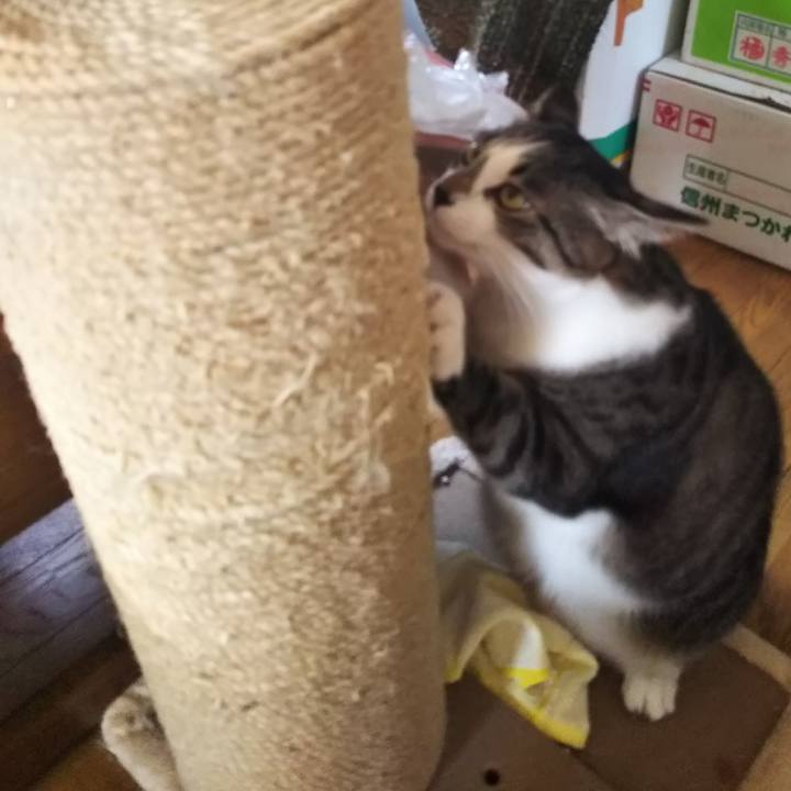 F330cb00 18d0 4a68 bf34 69c6212c0258 1686836248685