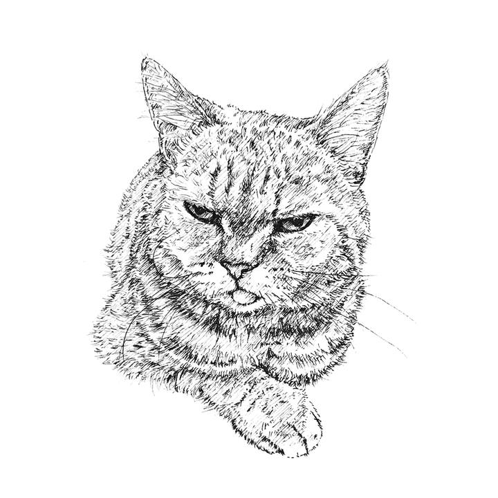 F330f0b3 178d 41b4 a0f9 609e57c9e770 1609686307249