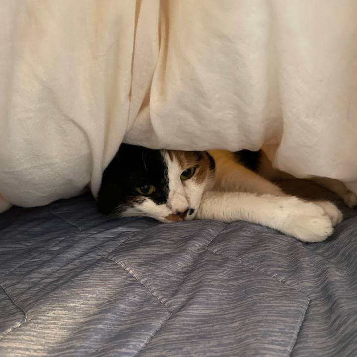 F330fb01 ca1d 41d0 b8f2 69455b5a0d22 1717455130937