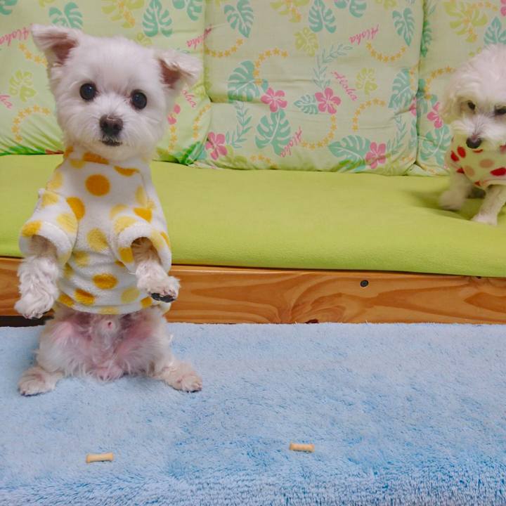 F3312daa b8a8 4209 9afd 8fcf22592946 1548807427908