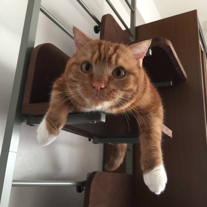 F3317150 35a6 4949 9a86 4ba59e6e7e20 1540420860447