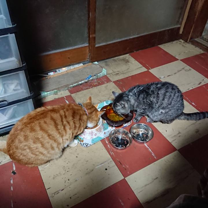 F3318cb0 f210 4087 9bb3 4f17abf36303 1575403561110