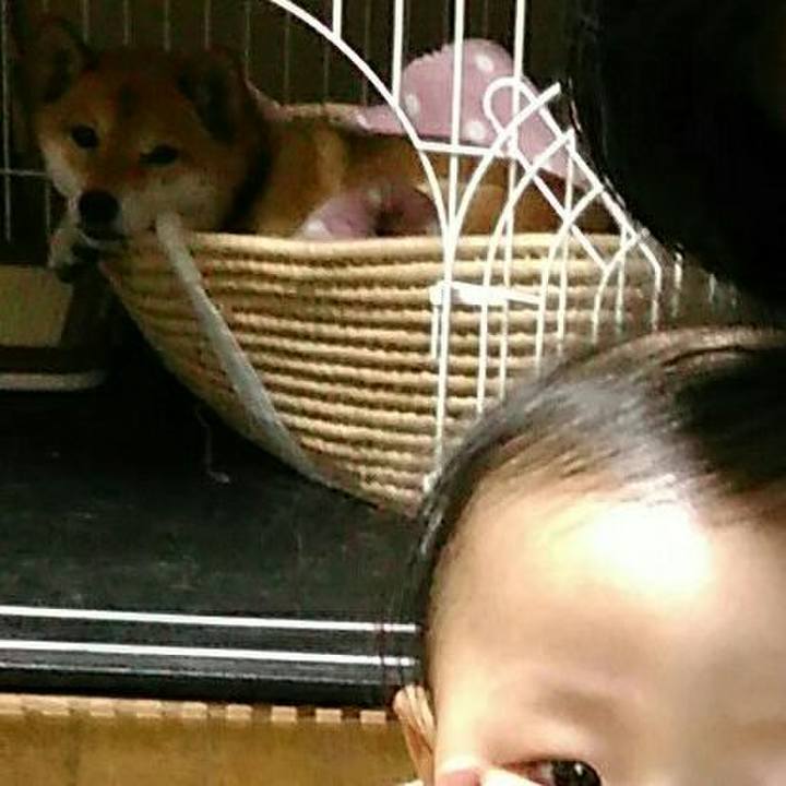 F3318e4d 1db7 4035 9f93 6a78603f0093 1547305779460