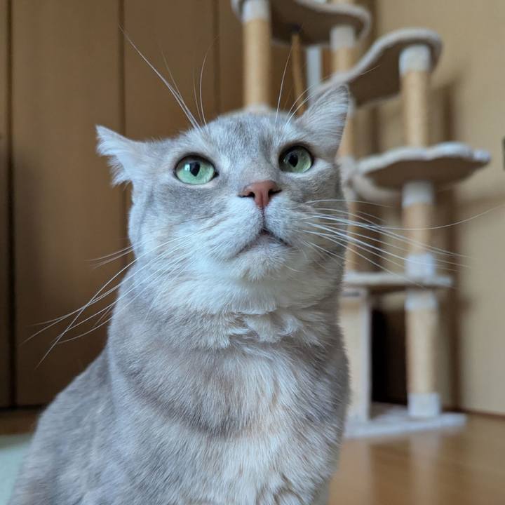 F331c0d6 78b0 4eff b474 81dc3c1552ed 1743400572834