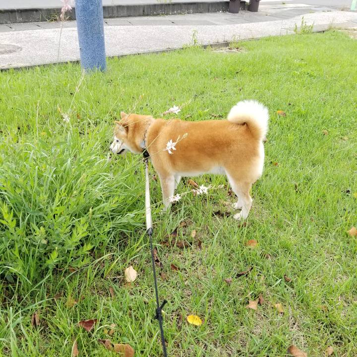 F331d845 3452 4748 b697 10fdfbde71c6 1631324119484