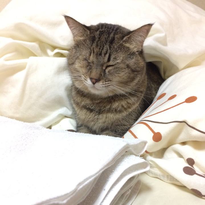 F331dae6 a655 47ee 82e9 b9e672dfccda 1573422611183