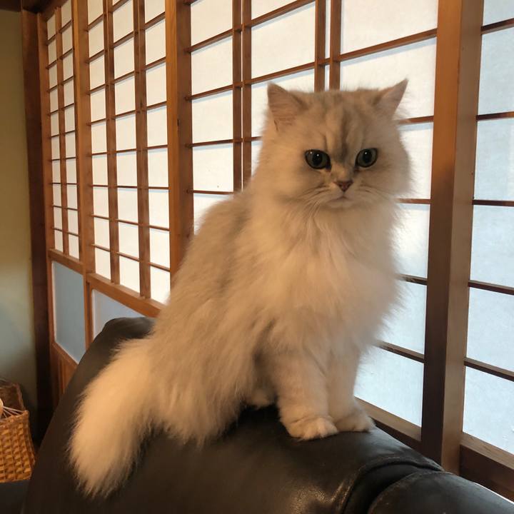 F331f27b d688 4bf7 88a8 4235f37003ef 1619743235910