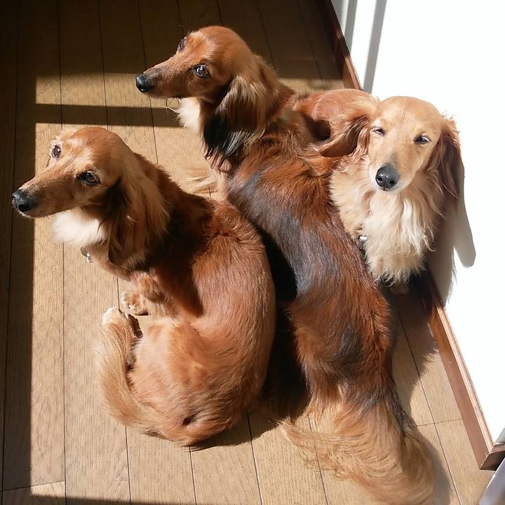 F331f313 eaf5 4d5e 9cd3 5f5879e530ff 1773315676960