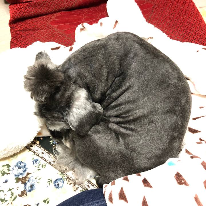 F331fe61 2c51 471a a51f 4869d83e13dc 1646318002011