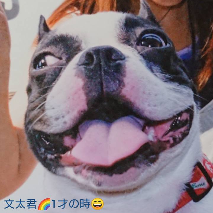 F3327500 d558 4704 be3f 4dc3e2d367cf 1597154679128