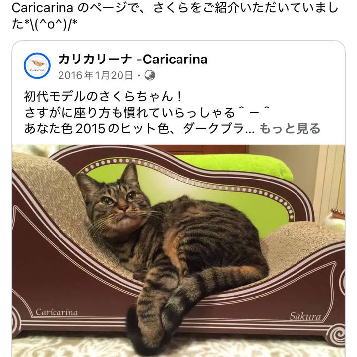 F33299f9 b8f2 49b6 871c 759b476dbdbd 1770111732252