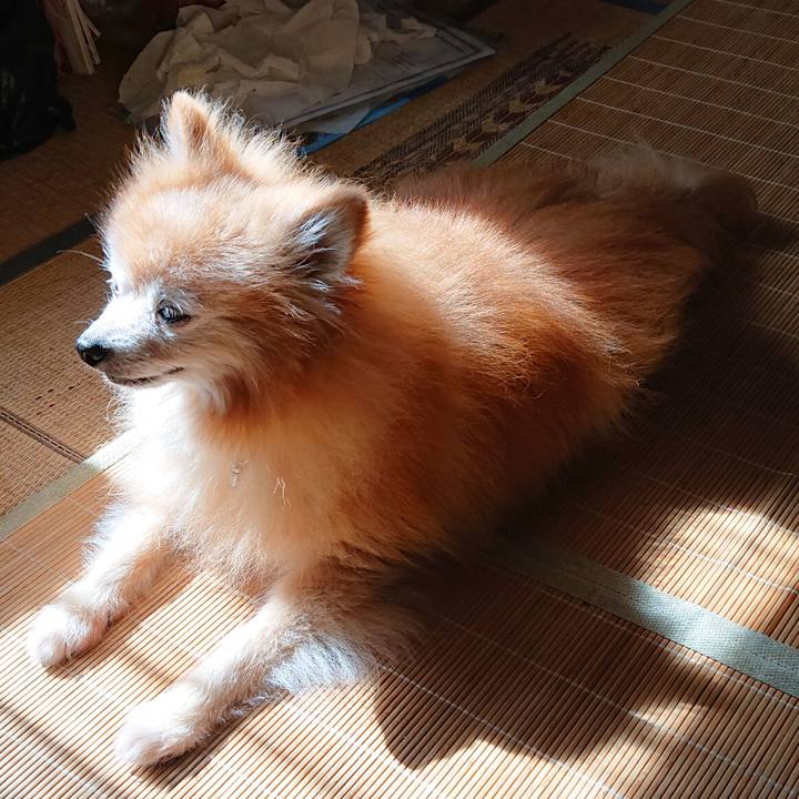 F332c067 9f01 4713 aff8 b07ccd97e150 1626416672784