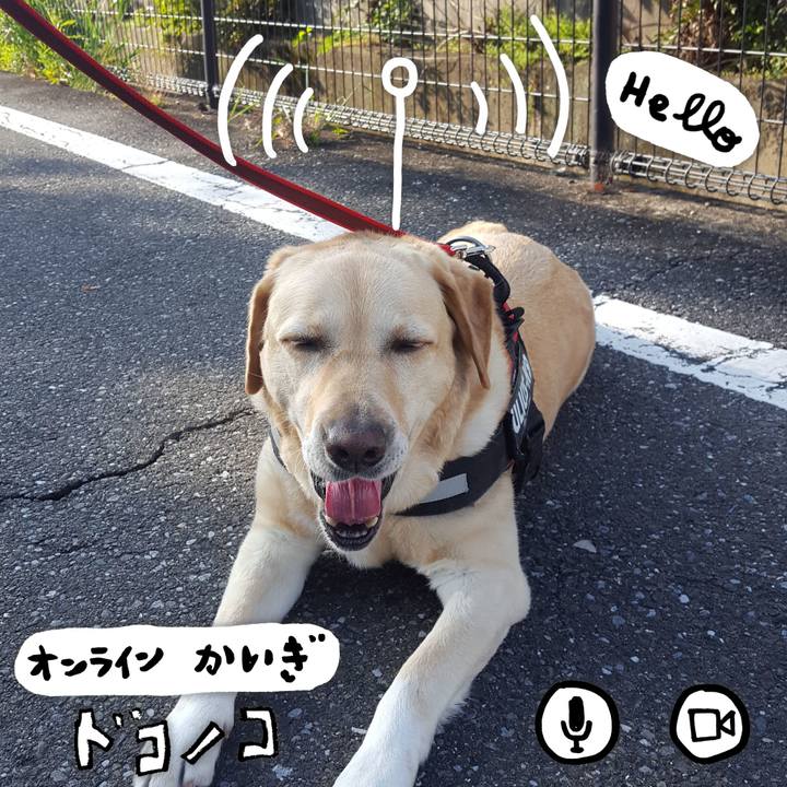 F332ce05 c99b 47a8 9b00 07dff92cfef7 1590757390440